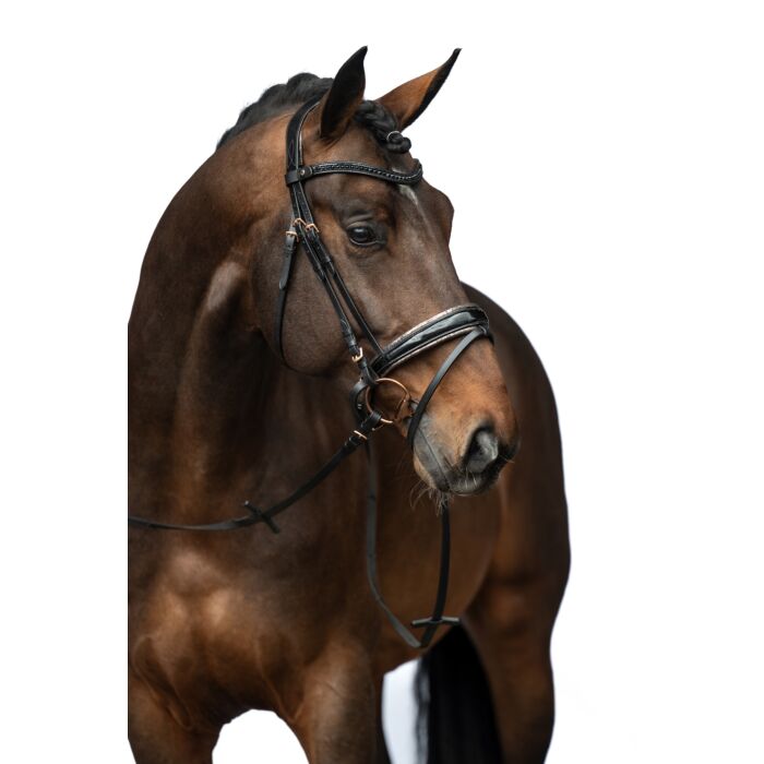 HKM Bridle - Sofia